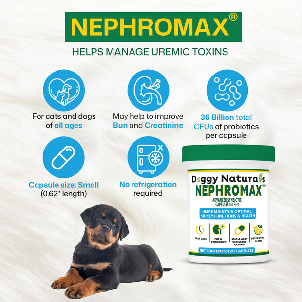 NephroMax Synbiotic Capsules for Kidney Support for Dogs & Cats (120 Capsules) Made In U.S.A