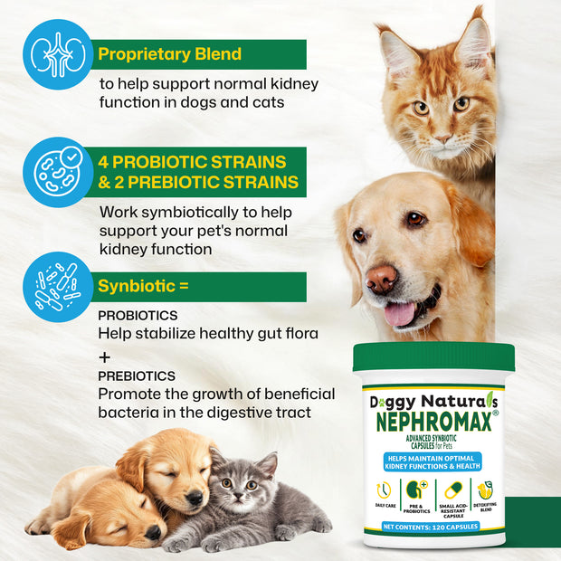 NephroMax Synbiotic Capsules for Kidney Support for Dogs & Cats (120 Capsules) Made In U.S.A