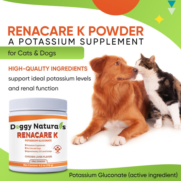 RenaCare K is for Renal K (Potassium Gluconate) Potassium Supplement Powder for Dogs and Cats,(4 oz)with Chicken Liver Flavor-215 Level Scoop ( U.S.A)