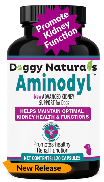 Aminodyl™ Kidney Support Supplement 1100mg for Dogs - 120 Sprinkle Cap ...