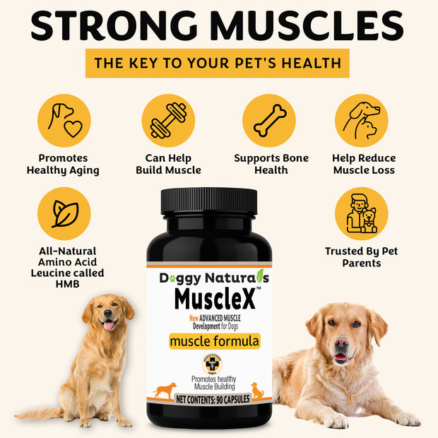 MuscleX Muscle Building Formula for Dogs, (90 capsules) with 500 mg Ca ...