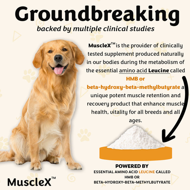 MuscleX Muscle Building Formula for Dogs, (90 capsules) with 500 mg Ca ...