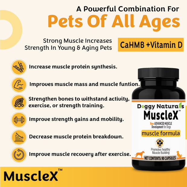 MuscleX Muscle Building Formula for Dogs, (90 capsules) with 500 mg Ca ...