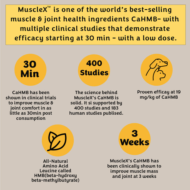 MuscleX Muscle Building Formula for Dogs, (90 capsules) with 500 mg Ca ...