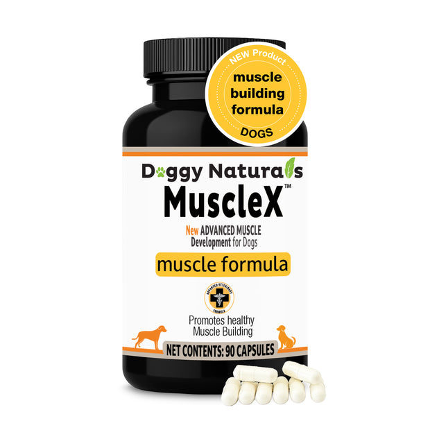 MuscleX Muscle Building Formula for Dogs, (90 capsules) with 500 mg Ca ...